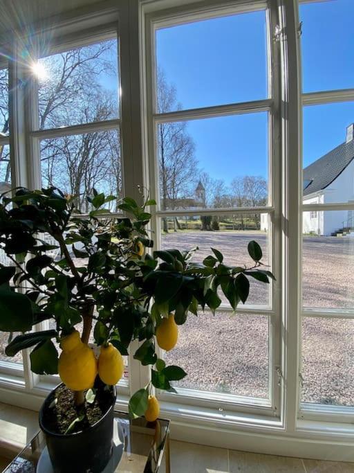 Praestgardsidyll Gaesthus Med Boutique-kaensla Sosdala